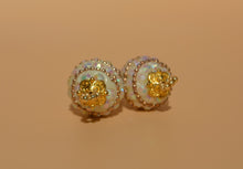 Load image into Gallery viewer, Ornament Earrings